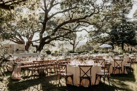 A Summer Wedding at Beltane Ranch in Sonoma, California Neutral Wedding Inspiration, Ranch Weddings, Dinner Reception, Sonoma California, Sonoma Wedding, Old Oak Tree, Outdoor Dinner, Wine Country California, Neutral Wedding