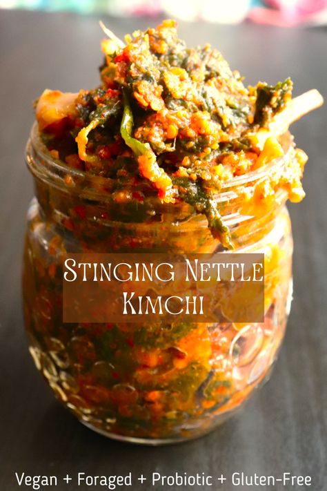 Nettles Recipes, Stinging Nettle Recipes, Vegan Kimchi Recipe, Nettle Recipes, Fermented Vegetables Recipes, Foraging Recipes, Kimchi Recipe, Foraged Food, Fermentation Recipes