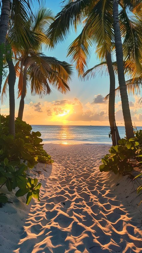 "Tropical Sunset Bliss: A #serenepathway flanked by #palmtrees leads to the #oceanview under a captivating #sunsetvibes. #natureart #serenitynow #aiart #aiphoto #stockcake ⬇️ Download and 📝 Prompt 👉 https://stockcake.com/i/tropical-sunset-bliss_413121_718514" Tropical Sunset Wallpaper, Tropical Beach Aesthetic, Sunset Beach Palm Trees, Sea Beach Photography, Sunset With Trees, Palm Tree Landscape, Beach And Palm Trees, Sunset At Beach, Palm Tree Photo