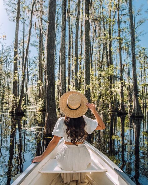 The 15 Best Charleston Nature Spots to Visit in 2022 Charleston Itinerary, Stunning Gardens, Charleston Beaches, Charleston Photography, Charleston Hotels, Cypress Gardens, Middleton Place, Boone Hall, Charleston Travel