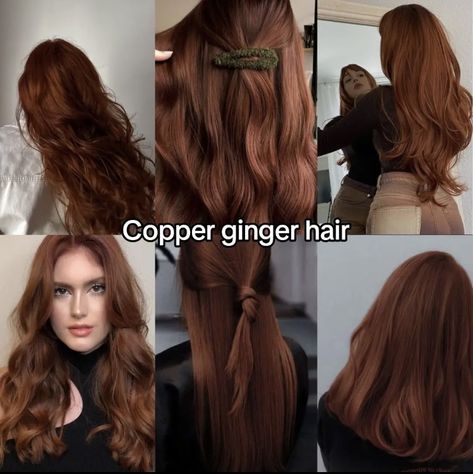 Two Block Hairstyle, Block Hairstyle, Hairstyles For Black Girls Braids, Copper Ginger Hair, Copper Ginger, Lilo And Stitch Ohana, Brown Hair Looks, Hair Tint, Ginger Hair Color