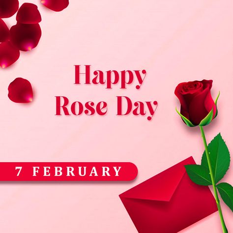 Rose Day Special, Rose Day Wishes, Rose Day Quotes, Happy Rose Day, Rose Day, Rose Flower Wallpaper, Flowers Background, Photo Art Frame, Day 7