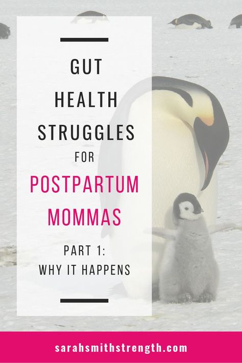 Many a woman is struggling with digestive distress postpartum and their lives are so full that they don’t always have the time to acknowledge it to themselves, never mind address it.   But it’s not uncommon and unfortunately, it often does not resolve on it’s own.   Let’s talk briefly about the reason why our digestion and elimination experiences can be different after birth. Candida Yeast, Gas Relief, Health Topics, Parasympathetic Nervous System, Endurance Workout, Gi Tract, Help Digestion, Never The Same, Never Mind