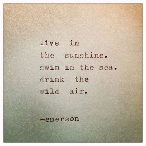 Hopefully I can continue to do this all my life..time to time... :-) Drink The Wild Air, Swim In The Sea, Live In The Sunshine, Life Meaning, Emerson Quotes, Waxing Poetic, Visual Statements, Quotable Quotes, Clean Cut