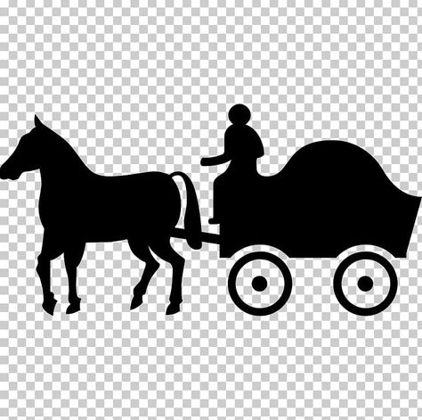 Black Carriage, Carriage Horse, Horse Cart, Horse Drawn Wagon, Horse Harness, Mustang Horse, Horse And Buggy, Horse Supplies, About Animals