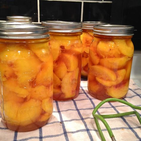 Canned Peaches in a Light Honey Syrup - Fit Mama Real Food Canning Peaches Recipes, Sliced Peaches, Canning Peaches, Strawberry Rhubarb Jam, Canning Fruit, Canning Tips, Rhubarb Jam, Peach Jam, Peach Fruit