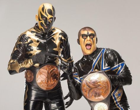 Goldust Wwe, Zack Ryder, The Usos, Wwe Tag Teams, Wrestling Stars, Cody Rhodes, Tag Team, Wwe Wrestlers, Professional Wrestling