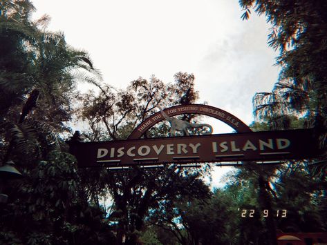 Discovery island sign at animal kingdom on a disposable camera Discovery Island, Disposable Camera, The Bad, Animal Kingdom, Disney World, Disney