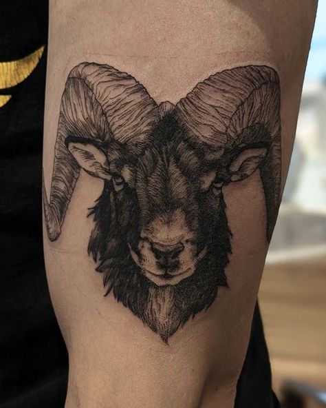 Ram Head Tattoo Design, Black Ram Tattoo, Ram Tattoo Feminine Aries, Rams Tattoo, Ram Tattoo Feminine, Black Phillip Tattoo, Ram Tattoos, Boyfriend Tattoos, Tattoo Ram