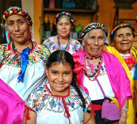 Theo Miranda on Instagram: “Nuestras maravillosas mujeres mexicanas  #mexicanas #mexico #like #mujeresmexicanas #mexican #latinas #indigenas #mexicana…” Mexican People, Mexican Women, Social Media, Media, Collage, Twitter, Pins, On Instagram, Quick Saves