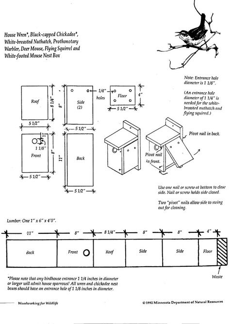 PDF Plans Chickadee Bird House Design Download decorative wood trim | rightful73vke Prothonotary Warbler, Bluebird House Plans, Cardinal Bird House, Deer Mouse, Bird House Plans Free, Decorative Wood Trim, House Wren, Wren House, Hummingbird House