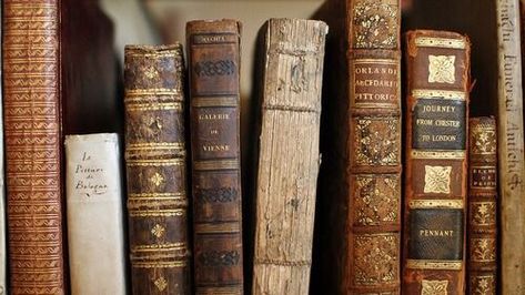 Court Aesthetic, Light Academia Aesthetic, Les Miserables, Brown Aesthetic, Book Shelf, Old Books, What’s Going On, Narnia, Vintage Books