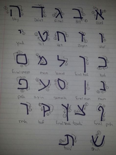 Learn Hebrew Alphabet, Hebrew Language Learning, Hebrew Language Words, Hebrew Vocabulary, Hebrew Writing, Hebrew Lessons, Hebrew School, Hebrew Roots, Biblical Hebrew