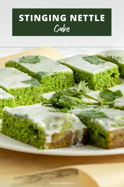 Stinging nettle cake Nettle Cake Recipe, Stinging Nettle Cake, Nettle Recipes Food, Medicinal Dessert, Herb Desserts, Stinging Nettle Recipes, Natural Food Recipes, Nettle Cake, Chicken Recipes Paleo