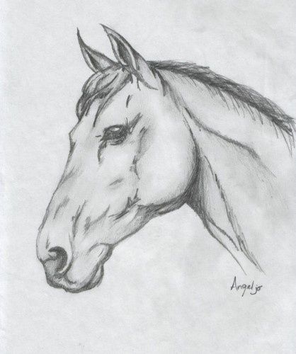 Easy Pencil Art, Equine Art Pencil Drawings, Horses Wallpaper, Portrait Au Crayon, Horse Art Drawing, Animal Art Projects, Pencil Drawings Of Animals, Horse Sketch, Canvas Art Projects