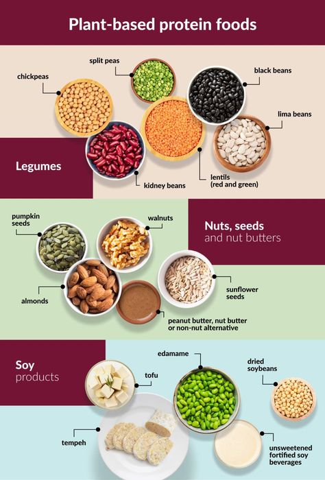 Protein Food Chart, Part Of Plant, Plant Based Protein Recipes, Canada Food Guide, Green Fruits And Vegetables, Plant Based Foods, Detox Meal Plan, Canada Food, Protein Food