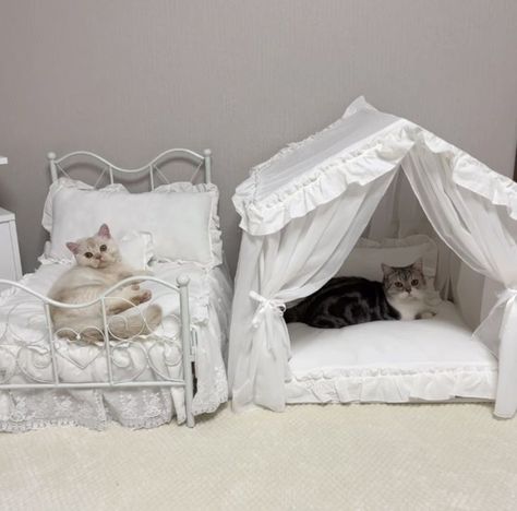 Cat Bedroom, Kitten Beds, Animal Room, Cute Bedroom Decor, Cute House, Dream Room Inspiration, My Future, Cat Room, Cute Room Decor