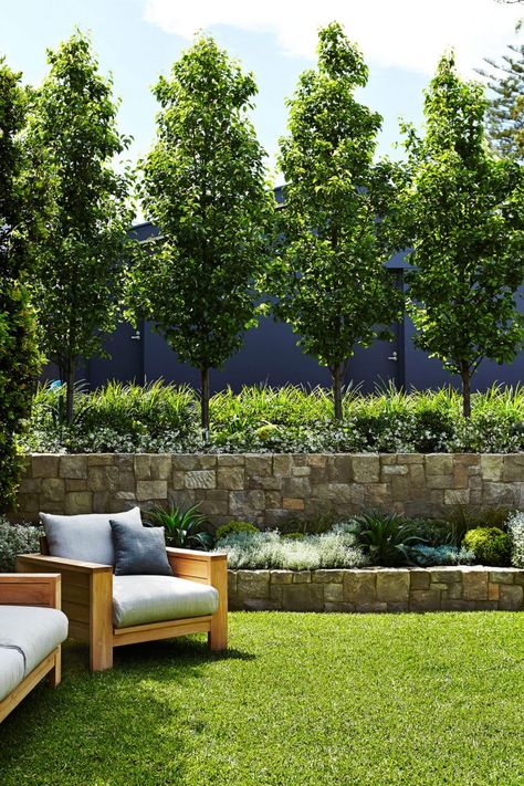 Landscaping Along Fence, Large Backyard Landscaping, Patio Grande, Landscaping Trees, Landscape Lighting Design, Privacy Landscaping, Living Fence, Modern Landscape Design, Large Backyard