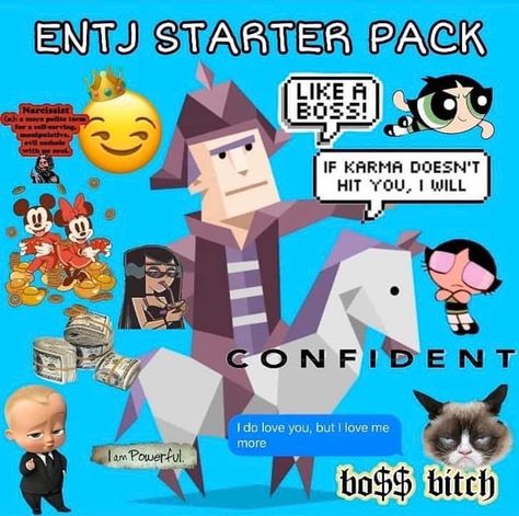 Entj Starter Pack, Intp Love, Personality Aesthetic, Entj Personality, Mbti Charts, Type Personality, Enfp T, I Do Love You, 16 Personalities