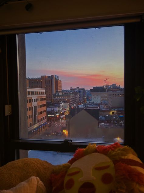 University Of Pittsburgh Dorm, Pitt University Aesthetic, University Of Pittsburgh Aesthetic, Pitt Aesthetic, Pitt College, Pittsburgh University, Pitt University, College Things, High School Days