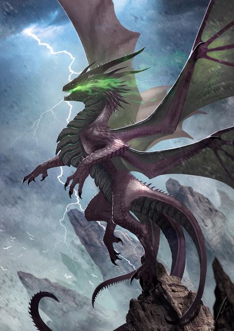 Four Wings, Maleficent Dragon, Elemental Dragons, Fourth Wing, Beautiful Dragon, Monster Concept Art, Dragon Pictures, Dragon Wings, Fantasy Creatures Art