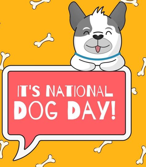 National Dog Day, also known as International Dog Day, is celebrated on August 26th each year to recognize dogs and their role in society. The holiday was created in 2004 by Colleen Paige, an animal rescue advocate, dog trainer, and pet and family lifestyle expert! #national #dog #nationaldogday #nationaldogday International Dog Day, National Dog Day, National Puppy Day, Puppy Day, Dog Day, Family Lifestyle, Dog Trainer, An Animal, Dog Days