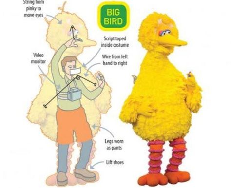 Big Bird Costume, Sapo Kermit, Bird Costume, Fraggle Rock, Jim Henson, Close My Eyes, Big Bird, Screen Time, Cool Websites