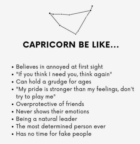 Capricorn Memes Funny, Capricorn Humor, Capricorn Core, Capricorn Things, Zodiac Dragons, Capricorn Queen, January Capricorn, Capricorn Energy, Capricorn Personality