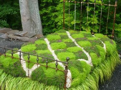 another great moss bed Moss Bed, Grass Bed, Diy Moss, Desert Land, Moss Garden, Unique Gardens, Garden Bed, Gorgeous Gardens, Flower Bed