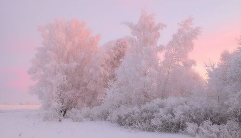 Winter Veil, Planer Cover, Winter Sunrise, Winter Princess, Winter Scenery, Snowy Day, Jolie Photo, Winter Aesthetic, Christmas Aesthetic