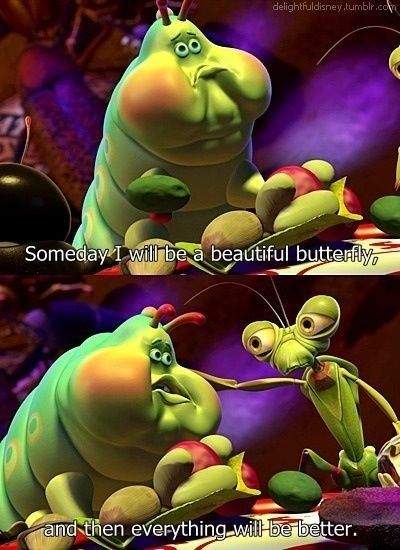 A Bug's Life Bugs Life, Film Disney, A Bug's Life, Funniest Memes, Disney Memes, Disney Quotes, Disney Funny, Disney Animation, Disney Love