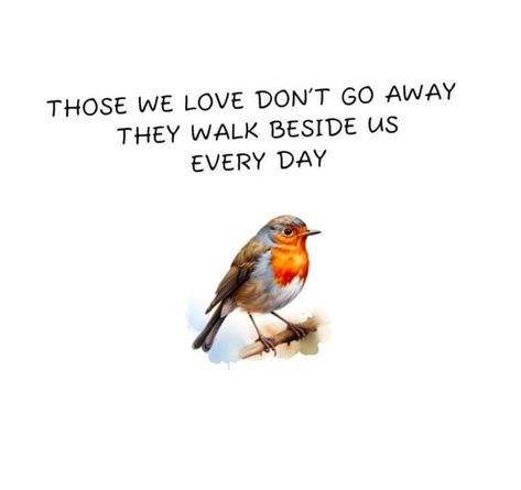 Birds Chirping Quotes, Bird Quotes, Angel Guidance, Pet Bird, Poem Quotes, Morning Messages, Pet Loss, Namaste, Quotes