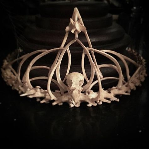 Pageant Crown Display Ideas, Bone Crown, Crown Drawing, Earthy Wedding, Taxidermy Art, Bone Crafts, Vulture Culture, Bone Art, Greek Mythology Art