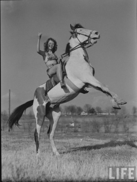 Mustang Training, Cowgirl Drawing, Vintage Cowboys, Real Cowgirl, Cowgirl Life, Horse Rearing, Rearing Horse, Vintage Equestrian, High Horse