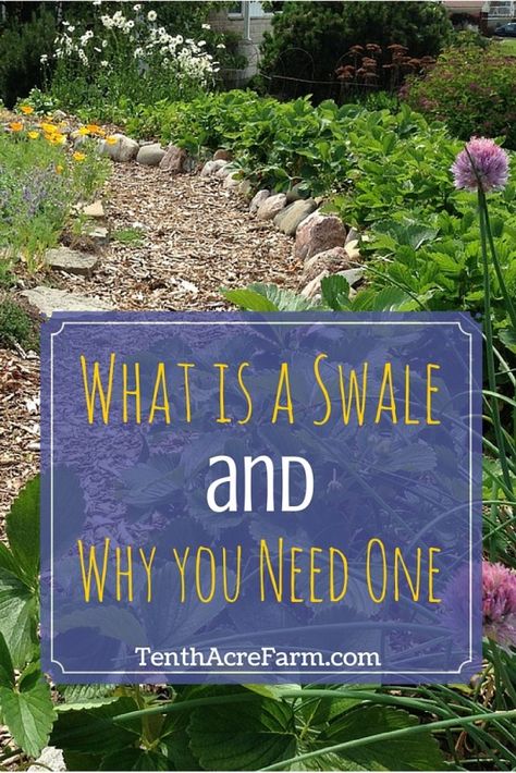 What is a Swale and Why You Need One: Swales are an important tool for irrigating the garden, mitigating stormwater runoff, and reducing erosion. Flood Irrigation Garden, Poor Drainage Landscaping, Tattoo Plant, Rain Gardens, Erosion Control, Permaculture Gardening, Permaculture Design, Rainwater Harvesting, Dry Creek