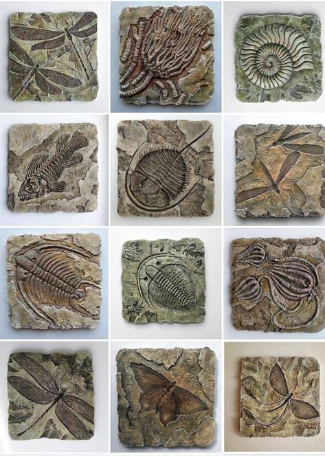 Dinosaur Fossil Art, Sea Fossils, Fossil Art, Geometry In Nature, Fossil Bones, Fish Fossil, Trilobite Fossil, Prehistoric Art, Ammonite Fossil