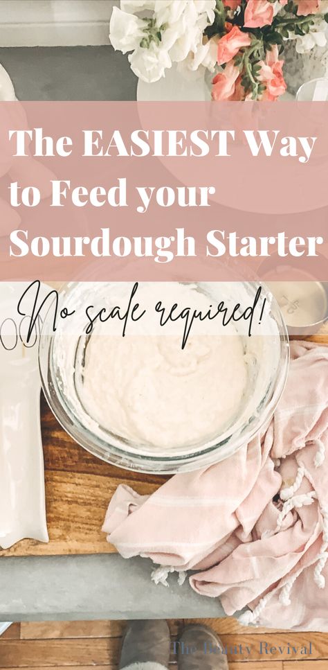 Store Sourdough Starter, Best Sourdough Starter Recipe, Whole Wheat Sourdough, Sourdough Bread Starter, Dough Starter, Homemade Sourdough Bread, Bread Starter, Sourdough Starter Recipe, Cooking Easy