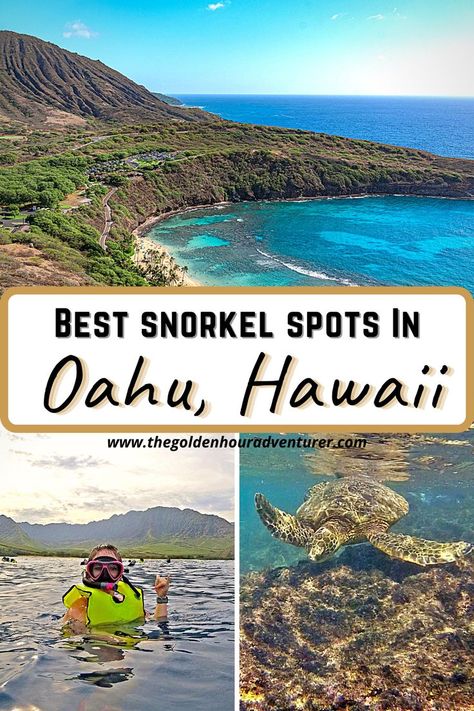 Best Snorkel Spots in Oahu Best Snorkeling In Oahu, Best Places To Snorkel, Hawaii Vacation Oahu, Hawaii Snorkeling, Hawaii Vacation Tips, Hawaii Trip Planning, Travel Fiji, Oahu Vacation, Oahu Travel