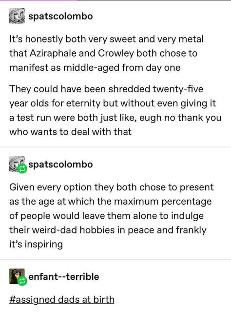 Aziraphale And Crowley, Writing Humor, Good Omens Book, Ineffable Husbands, Terry Pratchett, Good Omens, Michael Sheen, Geek Out, Book Memes