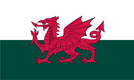 Welsh+Flag Welsh National Anthem, Wales Flag, Whisky Shop, Welsh Flag, Flag Store, Saint David, Welsh Dragon, International Flags, Wales Uk