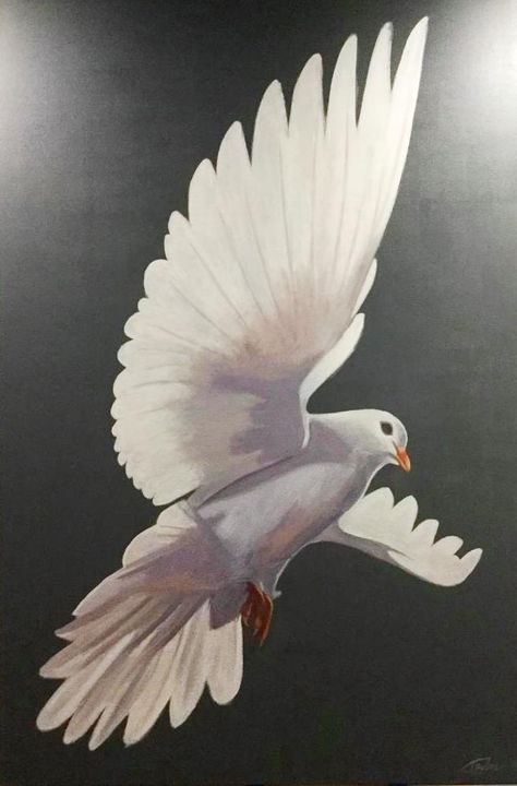 Painting Of Doves, Dove Oil Painting, Abstract Dove Painting, Peace Drawing Ideas, Dove Paintings, Doves Painting, Dove Bird Art, White Bird Painting, Dove Sketch