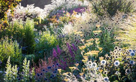 Claire Takacs Photography Gravetye Manor, Eco Garden, Famous Gardens, Meadow Garden, Perennial Border, Dawn And Dusk, Most Beautiful Gardens, Ponds Backyard, Nsw Australia