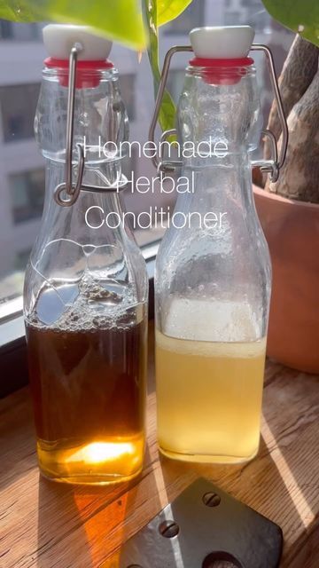 Claire | Sustainable Beauty on Instagram: "HOMEMADE HERBAL CONDITIONER! 🌱  You’ve asked for it and I’ve delivered! An eco-friendly super nourishing homemade conditioner at your fingertips!   COMMENT “hair” and I’ll send you how you can easily transform this into a leave-in conditioner! 💆‍♀️💆💆‍♂️  This is SUPER simple to make!!  Ingredients↓ -8 oz water -1-2 TBSP dried organic herbs of choice (I chose chamomile, lavender and spruce) -2 oz. oil of choice (I chose jojoba- you can choose almond or coconut) -2 oz. honey!  Directions↓ -pour boiling water over herbs of choice, cover and allow them to steep for at least four hours. -strain and add oil and honey  -shake well. -after shampooing, scoop out a small amount of the conditioner and apply it to your hair, focusing on the ends. Leave it Natural Leave In Conditioner Diy, Homemade Conditioner, Organic Herbs, Leave In Conditioner, Holistic Health, Hair Care, Coconut, Conditioner, Natural Hair Styles