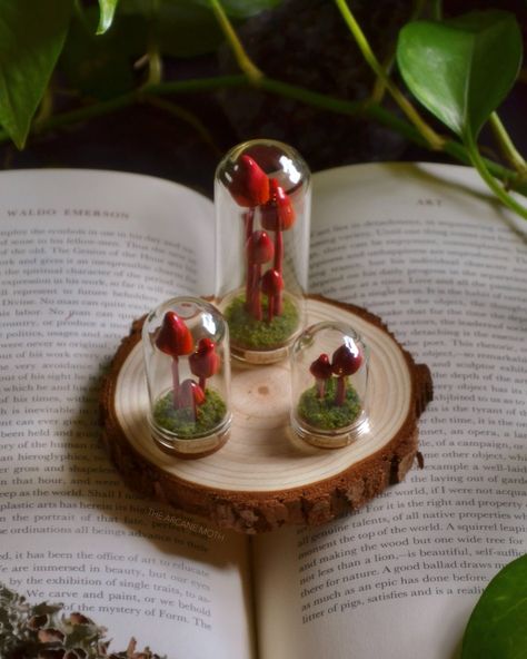 Lots of handmade mini mushroom sculpture jars are looking for loving homes!! 🍄🌿🍄‍🟫 These enchanting fungi are all individually sculpted from polymer clay and shaded with chalk pastel pigments! They're mounted on mossy cork bases with my logo engraved on the bottom, and feature teeny tiny handwritten identification labels 🏷️ 🧚🏻‍♂️ • #mycophile #mycology #mycologie #mycologysociety #mushroomart #mushroomlove #mushroomsociety #mushroomlover #mushroomdecor #fungilove #fungiart #fungifanatic #f... Faerie Core, Mushroom Sculpture, Fungi Art, Mini Mushroom, Chalk Pastel, My Logo, Mushroom Decor, Chalk Pastels, Mushroom Art