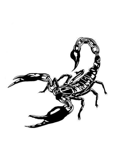 Dark Bug Tattoo, Scorpion Skeleton Tattoo, Scorpion Line Art, Scorpion Tattoo On Back, Scorpion Drawing Simple, Unique Scorpio Tattoo, Realistic Scorpion Tattoo, Scorpion Tattoo Stencil, Blackwork Tattoo Design Ideas