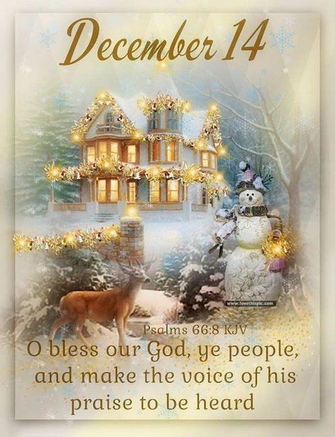 December Prayers, December Blessings, December Scriptures, Advent Prayers, December Images, Words Of Faith, December Days, Christmas Verses, December Quotes