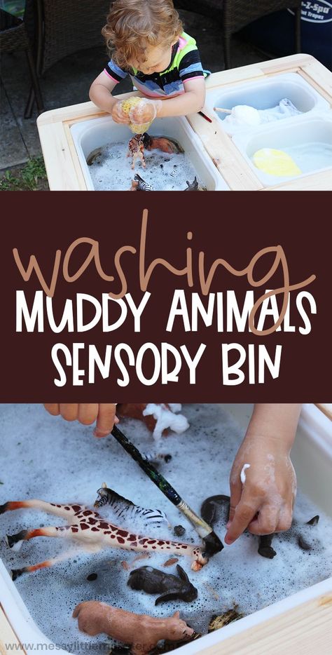 Zoo animal sensory bin for toddlers. Washing animals water sensory play. Animal activities for toddlers. Spring Sensory Activities, Animals Sensory Bin, Zoo Animals Preschool Activities, Zoo Animals Preschool, Zoo Lessons, Zoo Animal Activities, Sensory Bin For Toddlers, Mammals Activities, Jungle Activities