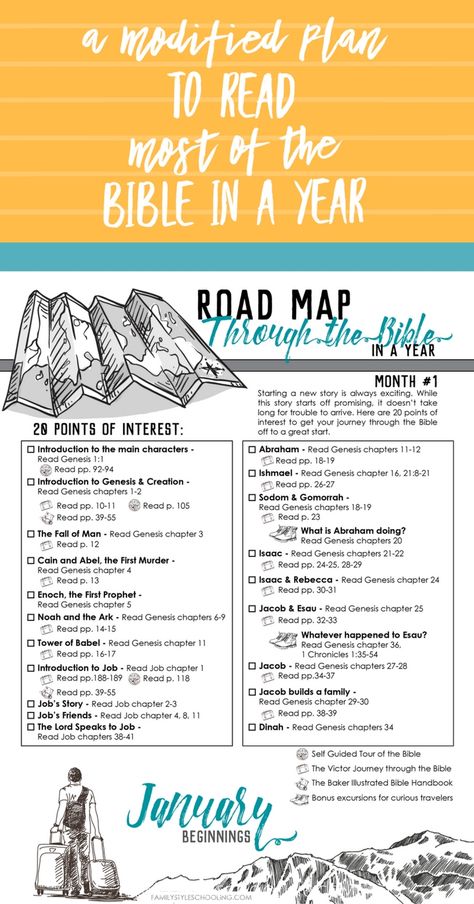 Reading The Bible In Chronological Order, Reading The Bible In A Year Plan, Bible Notations, Best Order To Read The Bible, Books Of The Bible Categories, Kidmin Decor, Spiritual Habits, Stories In The Bible, Bible Highlighting