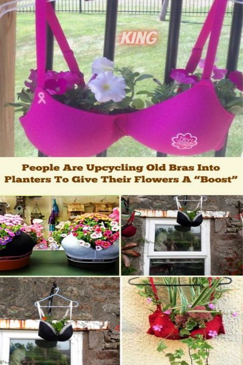 Planter Flowers, Bra Crafts, Old Bras, Diy Bra, Support Bra, Pink Wig, Her Cut, Spirit Week, Beauty Expert