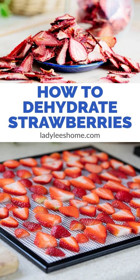 Dehydrate Strawberries, Dehydrator Recipes Fruit, Dehydrating Food Storage, Dehydrated Strawberries, Food Dehydration, Dehydrated Vegetables, Canning Food Preservation, Strawberry Powder, Dehydrated Fruit